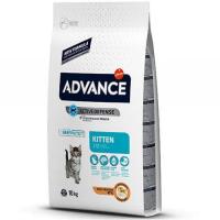 ADVANCE CAT KİTTEN CHİCKEN 10 KG