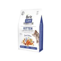 BRİT CARE  KİTTEN SALMON  2 KG