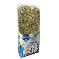 EUROGOLD KEMİRGENLER İÇİN YEŞİL YONCA