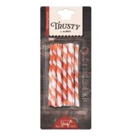 M-PETS TRUSTY BEEF TWİSTED STİCKS KÖPEK ÖDÜLÜ 10LU 55 GR.