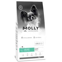 MOLLY MİNİ YETİŞKİN SOMONLU KÖPEK MAMASI 2 KG