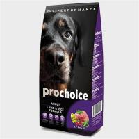 PROCHOİCE ADULT KUZU ETLİ KÖPEK MAMASI 12 KG