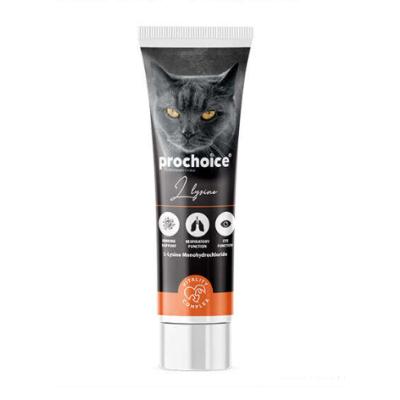 PROCHOİCE LYSİNE PASTE 100 ML.