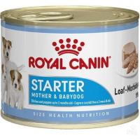 ROYAL CANİN DOG STARTER MOUSSE KONSERVE 195 G