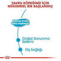 ROYAL CANİN DOG STARTER MOUSSE KONSERVE 195 G