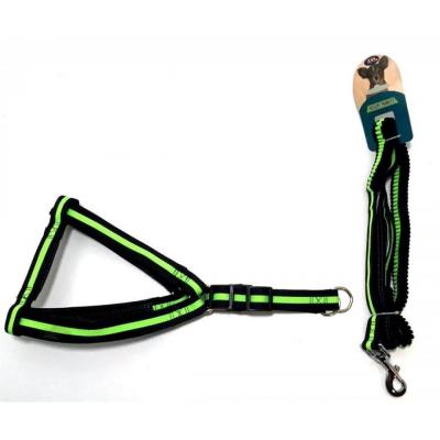 ROYALİST LASTİKLİ GÖĞÜS TASMASI TAKIM 201642